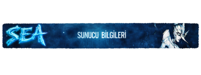 sunucubilgileri.png
