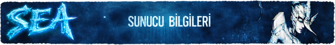 sunucubilgileri.png